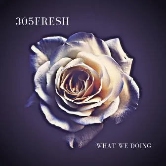 What We Doing by 305fresh