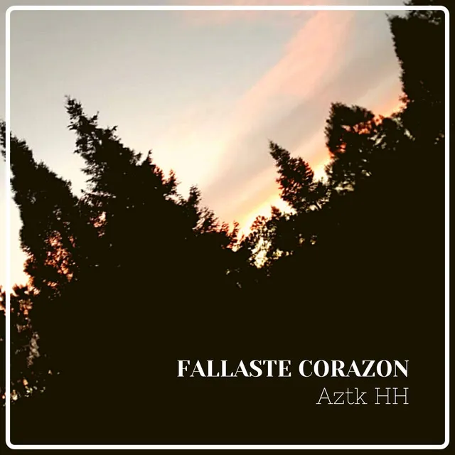 Fallaste Corazón