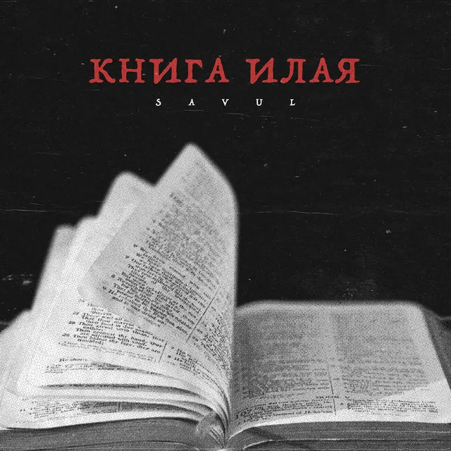 Книга Илая