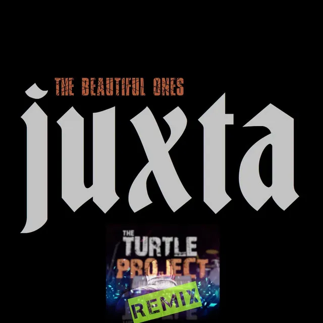 The Beautiful Ones (The Turtle Project Remix)