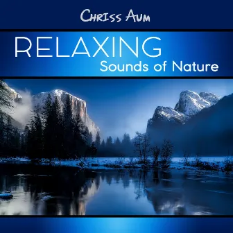 Relaxing Sounds of Nature by Chriss Aum