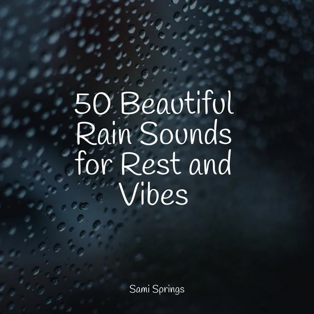 50 Beautiful Rain Sounds for Rest and Vibes