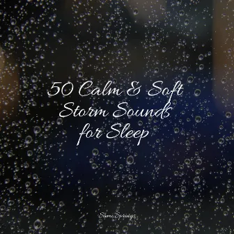 50 Calm & Soft Storm Sounds for Sleep by Soothing Music Academy