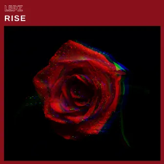 Rise (Radio Edit) by Lepz