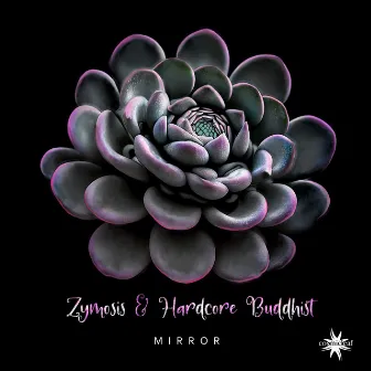 Mirror by Zymosis