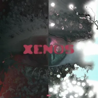 XENOS by n!c