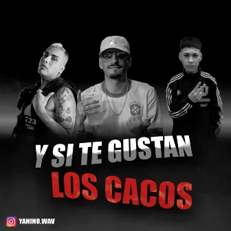 LOS CACOS RKT by Yanino