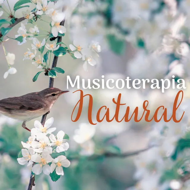 Musicoterapia Natural: Melodías de Primavera Reconfortantes de la Naturaleza