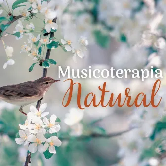 Musicoterapia Natural: Melodías de Primavera Reconfortantes de la Naturaleza by Healing Naturists