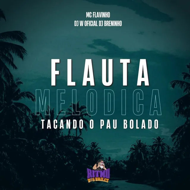 Flauta Melodica - Tacando o Pau Bolado