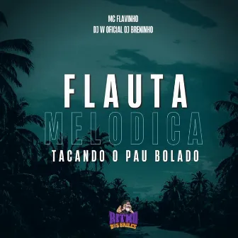 Flauta Melodica - Tacando o Pau Bolado by Djwoficial