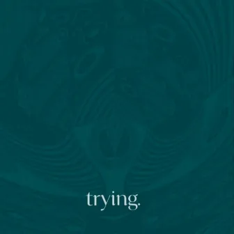 Trying by Sonder the Africanime