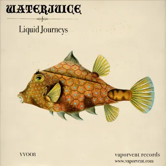 Liquid Journeys by Waterjuice