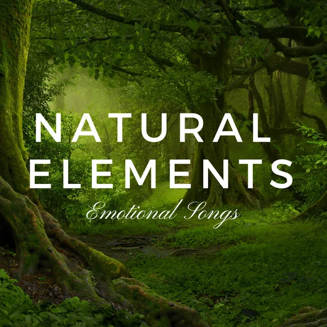 Natural Elements - Inner Inward Meditation, Harmony of the Elements, Relaxing Background Music, Emotional Songs