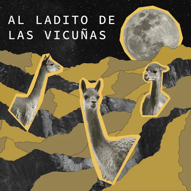 Al Ladito De Las Vicuñas