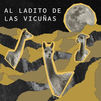 Al Ladito De Las Vicuñas by TaytaSep