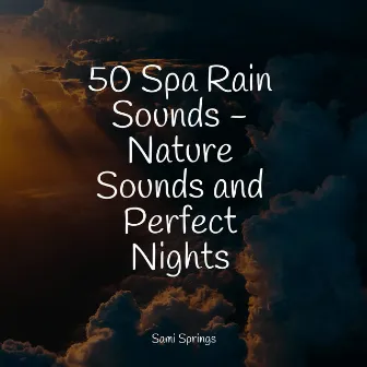 50 Calming Rain Sounds for Sleep and Relaxation by Sonidos de lluvia para dormir