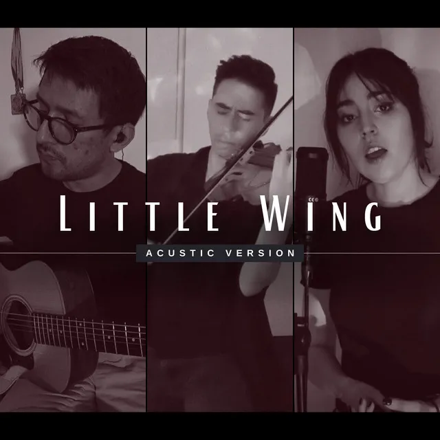 Little Wing - Cover