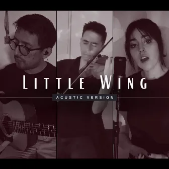 Little Wing (Cover) by RubénMusicMX