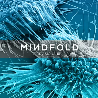 Revisions by Mindfold