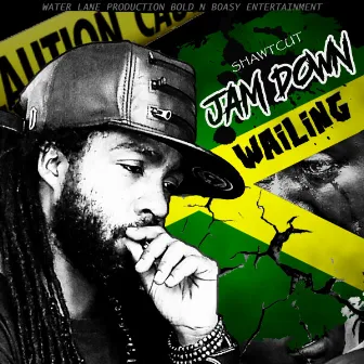 Jamdown Wailing by Shawtcut