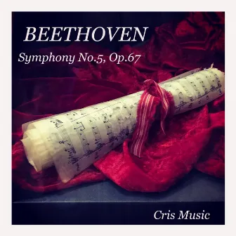 Beethoven: Symphony No.5, Op.67 by Arthur Nikisch