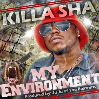 My Environment by Killa Sha