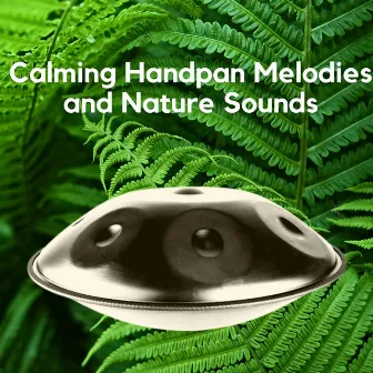 Calming Handpan Melodies and Nature Sounds by Relaxing Hang Drum Nature