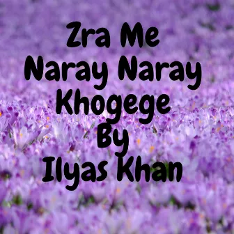 Zra Me Naray Naray Khogege Tape by Ilyas Khan