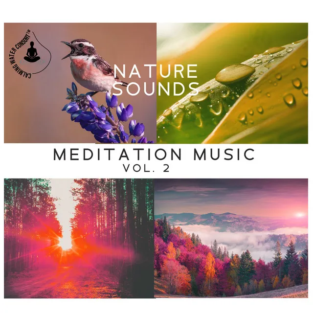 Nature Sounds Meditation Music Vol. 2: Calming Water and Singing Birds, Waves, Soothing Rain, Beach, Waterfall, Rainforest, Tropical Spa Surf