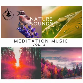 Nature Sounds Meditation Music Vol. 2: Calming Water and Singing Birds, Waves, Soothing Rain, Beach, Waterfall, Rainforest, Tropical Spa Surf by Calming Water Consort