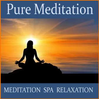 Pure Meditation by Tranquility