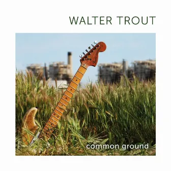 Common Ground by Walter Trout