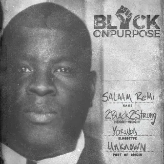 Black On Purpose by Salaam Remi