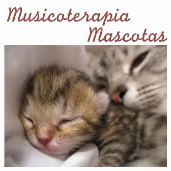 Músicoterapia Mascotas: Música para Relajar Perros y Musica para Gatos Calmante by Musicoterapia