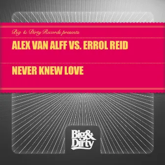 Never Knew Love by Alex Van Alff