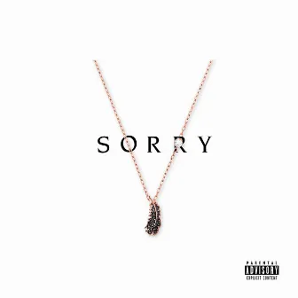 Sorry by RAF