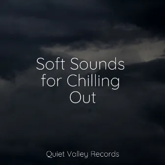 Soft Sounds for Chilling Out by Loopable Rain