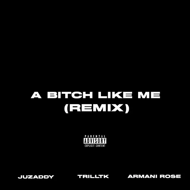 A BITCH LIKE ME - Remix