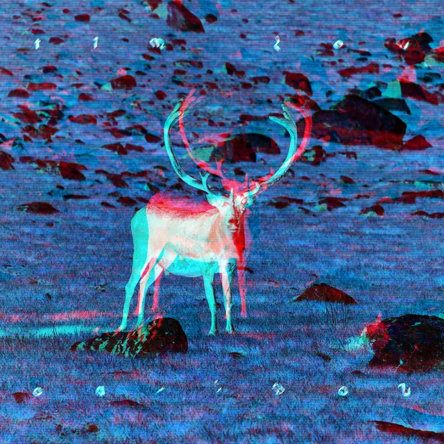 Caribou