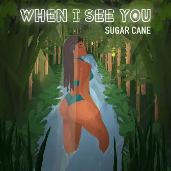 When I See You by Sugar Cane