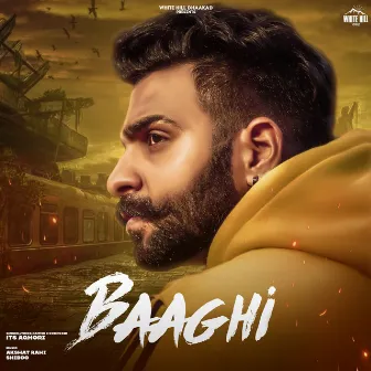 Baaghi by Its Aghori