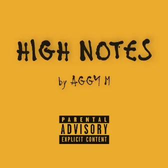 High Notes by Aggy M