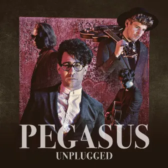 Unplugged by Pegasus