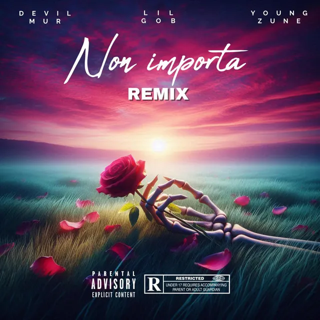 Non importa - REMIX