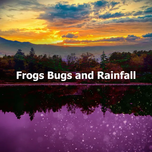 Frogs Bugs and Rainfall