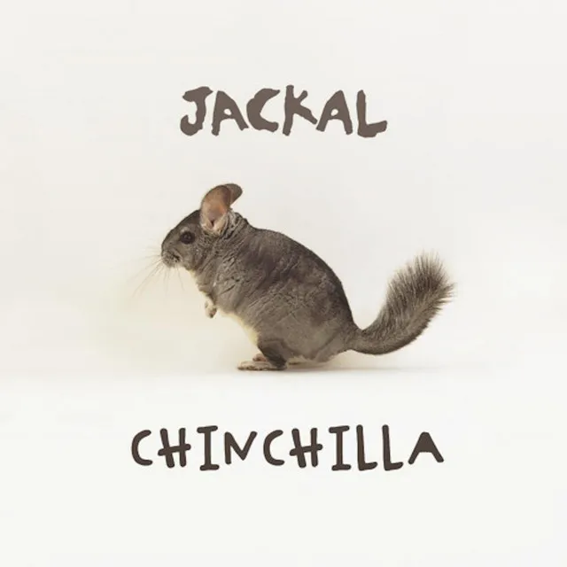 Chinchilla