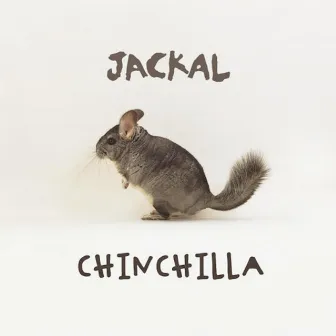 Chinchilla by Jackal