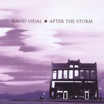 After the Storm by David Vidal