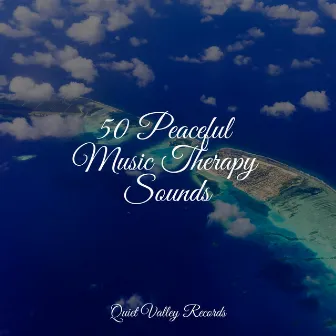 50 Peaceful Music Therapy Sounds by Rain Storm Sample Library